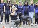 En Corse, une fin heureuse pour Rogger, le malinois abandonné et attaché à un arbre à Vizzavona