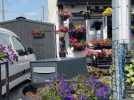 Roseline Dejardin, un nom qui fleurit les concours