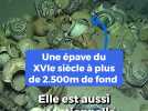 Les folles images d'une épave engloutie du XVIe siècle découverte au large du Var