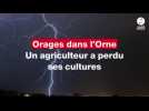 VIDÉO. Cet agriculteur de l'Orne a perdu ses cultures