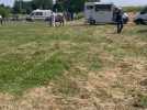 Bourbourg : un concours de chevaux Boulonnais organisé au parc urbain