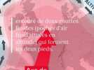Environnement - C'est quoi le 