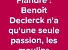 Flandre : Benoît Declerck n'a qu'une passion dans la vie, les moulins