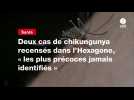 VIDEO. Deux cas de chikungunya recensés dans l'Hexagone, « les plus précoces jamais identifiés »
