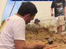 Sur les traces des dinosaures