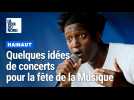 Fête de la Musique : quelques idées de concert dans le Hainaut