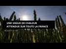 Une vague de chaleur attendue sur toute la France dès jeudi 19 juin 2025