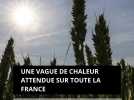 Une vague de chaleur attendue sur toute la France dès jeudi 19 juin 2025