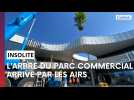 Comment l'arbre emblématique du futur parc commercial près de Reims s'est élevé dans les airs