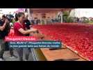 Le record du monde de la plus grande tarte aux fraises battu à Plougastel-Daoulas