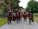 VIDEO. En Mayenne, cette fête réunit près de 1 000 chiens, 54 équipages et 3 000 visiteurs