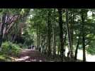 VIDÉO. A la découverte du parc Gulbenkian, une oasis de verdure sur la Côte fleurie