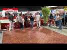 VIDÉO. Les Hotmilk Breakers font le show au forum des associations de Cholet