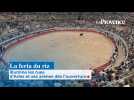 La feria du riz illumine les rues d'Arles et ses arènes dès l'ouverture