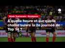 VIDÉO. Stade Toulousain - Perpignan. À quelle heure et sur quelle chaîne suivre la 2e journée de Top 14 ?