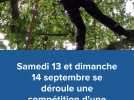 De la grimpe d'arbre freestyle au château de Quevillon