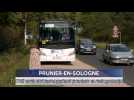 Le Journal - 12/09/2025 - PRUNIER-EN-SOLOGNE / Arrêt de bus supprimé : des enfants obligés de longer une route dangereus