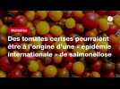 VIDEO. Des tomates cerises pourraient être à l'origine d'une « épidémie internationale » de salmonellose