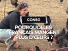 Pourquoi mange-t-on plus d'oeufs ?