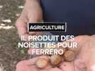 Hautes-Pyrénées : Il produit des noisettes pour Ferrero
