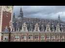 Lille : les ruches du toit de l'opéra
