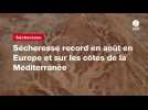 VIDEO. Sécheresse record en août en Europe et sur les côtes de la Méditerranée