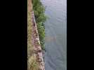 Pollution aux hydrocarbures sur le canal de la Sensée à Arleux