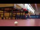 Le Mans Sarthe tennis de table en Pro A, saison 2
