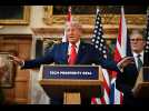 VIDÉO. Guerre en Ukraine : Donald Trump avoue que Vladimir Poutine l'a « vraiment laissé tomber »