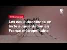 VIDEO. Chikungunya : les cas autochtones en forte augmentation en France métropolitaine