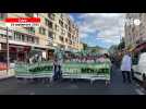 VIDÉO. Grève du 18 septembre. Plus de 200 pharmaciens manifestent à Caen