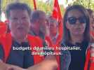 Social - 