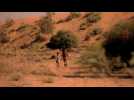 The Dead 2