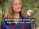 Sorties - Visite d'un château, découverte de véhicules militaires, baptême d'une rose... Nos coups de coeur des journées du patrimoine dans la Nièvre