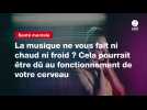 VIDEO. La musique ne vous fait ni chaud ni froid ? Cela pourrait être dû au fonctionnement de votre cerveau