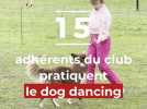 Société - Et si vous dansiez avec votre chien ? C'est le dog dancing, à découvrir au club de Mur-sur-Allier