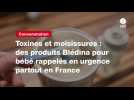 VIDEO. Toxines et moisissures : des produits Blédina pour bébé rappelés en urgence partout en France