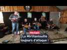 La Mirlitantouille toujours d'attaque !