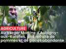 Au Verger Martine d'Aubigny-aux-Kaisnes, la récolte des pommes et des poires est abondante