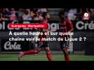 VIDÉO. Guingamp - Montpellier. À quelle heure et sur quelle chaîne voir le match de Ligue 2 ?