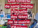 Une collecte de sang organisée dans la salle des fêtes de la mairie d'Amiens