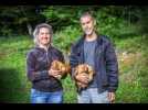 Ferme des Gravalons (Doubs) : la paille des poules comme engrais dans les champs