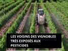 Les voisins des vignobles très exposés aux pesticides