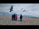 Mercredi, la journée des enfants sur le festival international de cerf-volant de Dieppe