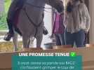 Un professeur à cheval