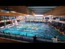 Natation : le 33e meeting international de Saint-Dizier se prépare