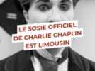 Loisirs - Un spectacle immersif met en scène le 