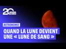 Astronomie : Une « Lune de sang » observée durant une éclipse totale de Lune