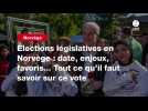 VIDEO. Élections législatives en Norvège : date, enjeux, favoris... Tout ce qu'il faut savoir sur ce vote