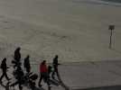 Vu du ciel : promeneurs sur la plage de Bray-Dunes